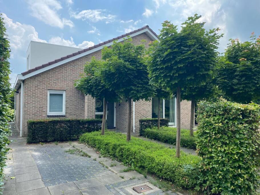 Big Family Villa 12P Big Garden With Bathtub And Jacuzzi ゼーウォルデ エクステリア 写真